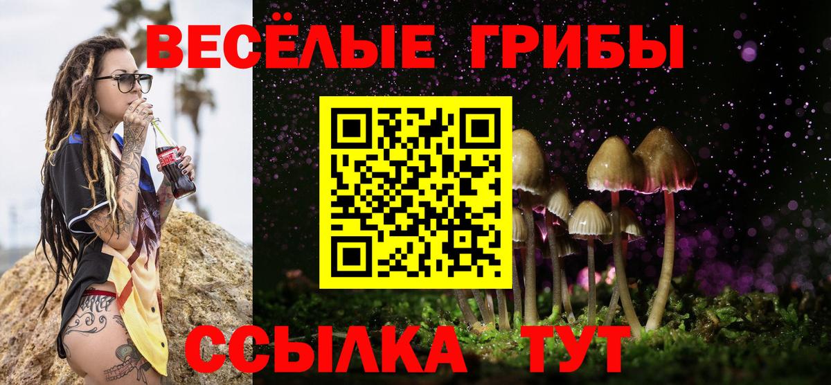Псилоцибиновые грибы Psilocybine cubensis  Вход с VPN  Симферополь 